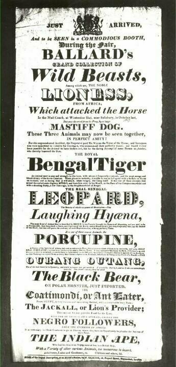Auto-generated description: A vintage advertisement promotes a display of various exotic animals, including a Bengal tiger, leopard, hyena, and others, at a fair.