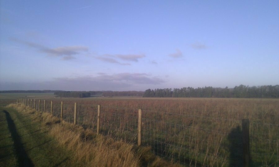Auto-generated description: A fenced grassy field stretches into the distance under a clear blue sky with scattered clouds.