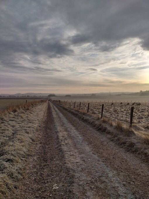 Auto-generated description: A frosty dirt road stretches through a rural landscape under a cloudy and early morning sky.