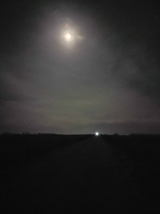 Auto-generated description: A dimly lit rural road is shown at night with a bright moon and a distant light on the horizon.