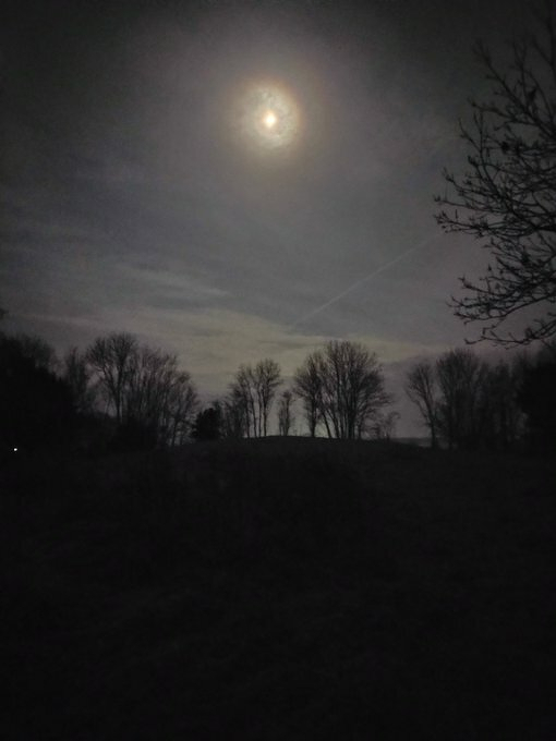 Auto-generated description: A moon shines brightly in a dark, cloudy sky above silhouetted trees.