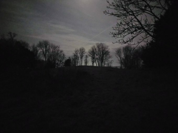 Auto-generated description: A moonlit landscape features silhouetted trees against a dark sky, with a mix of clouds and clear areas.